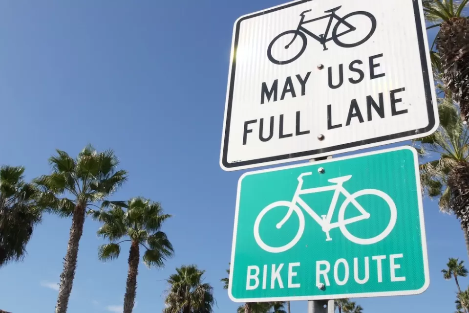Close-up on white "Bikes may use full lane" and green "Bike route" signs with tall California palm trees in background.
